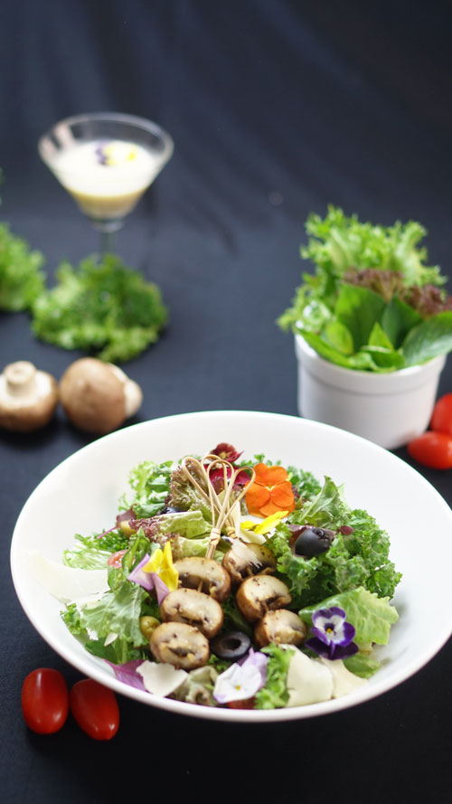Mixed Salad topping with Button Mushroom, and Black Balsamic sauce